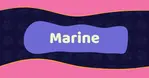 Marine and ocean creature inspired adult toys from Luney The Cat. Unique underwater designs with custom colors, sizes, and textures. Ready to ship and custom options available.