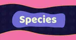 Browse Luney The Cat's toy collection sorted by species. From canine and feline to dragons, aliens, and mythical creatures. Fantasy sex toys for every taste.
