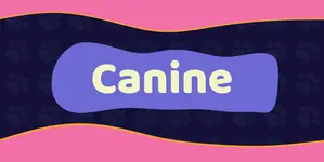 Canine-inspired sex toys from Luney The Cat. Knotted designs, custom sizes, and furry fandom-friendly options for dog lovers of the adult variety.