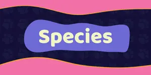 Fantasy sex toys inspired by mythical creatures. Unique, hand-designed pieces from Luney The Cat for those who want something truly legendary.